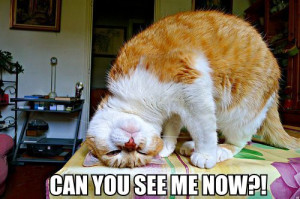Can you see me now?