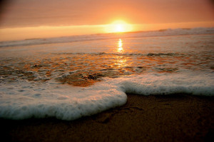 ocean, reflection, sea, sun, sunlight, waves