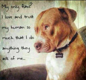 Pinned by Seth Farrell