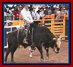Lane's friend Tuff won the Bull Riding Championship that year,
