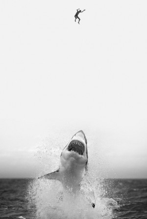 scary water shark ocean vertical