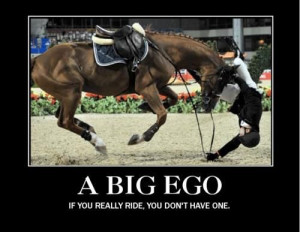 Big Ego | The Carousel Horse | carouselhorsetack.com