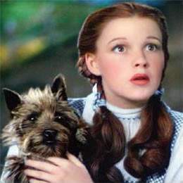 emerald+dorothy+and+toto.pl]