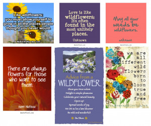 WildFlowers Quotes