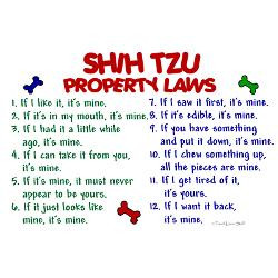 shih_tzu_property_laws_2_oval_decal.jpg?height=250&width=250 ...