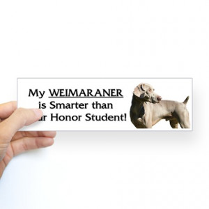 Dog Gifts > Dog Auto > Weimaraner - Honor Student - Sticker