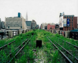High Line New York: Joel Sternfeld, High Line, Favorite Places, York ...