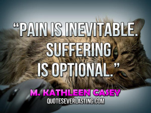 Inevitable Quotes pain is inevitable.