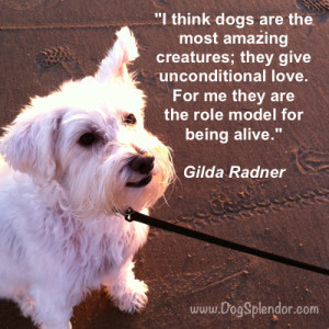 Gilda Radner quote about dogs