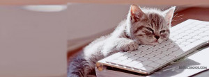 lazy-cute-sleeping-kitten-kitty-pussy-fur-ball-facebook-timeline-cover ...