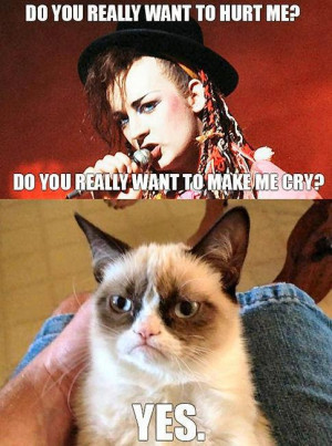 Grumpy Cat Meme - Boy George