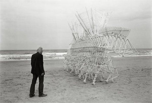 Strandbeest: The Dream Machines of Theo Jansen, Taschen