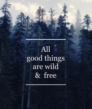 Inspirational Wild Animal Quotes Inspirational picture quotes