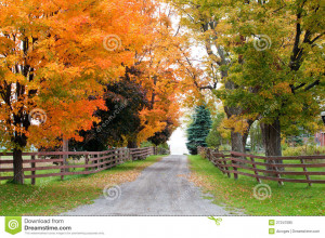 Beautiful country road in autumn foliage, Milton, ON, Canada.