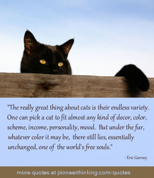 The Really Great Thing About Cats – Eric Gurney