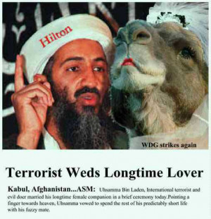 FUNNY OSAMA BIN LADEN PICTURES