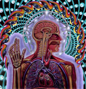 tool #tool band #lateralus #gif #art #alex gray #artwork