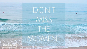 Free Wallpaper Download: Don't Miss The Moment
