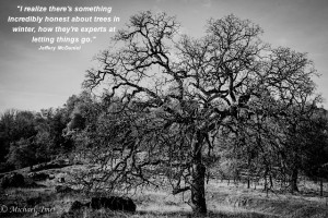 of clutter leaves you free to be you which is the greatest gift you