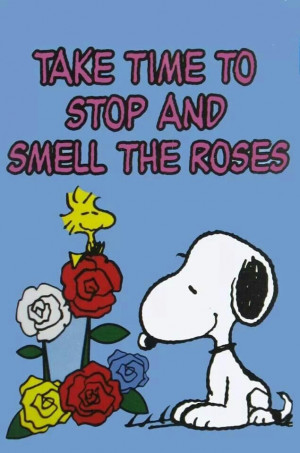 Take time to stop and smell the roses