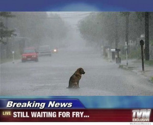 Breaking news… still waiting for fry.. aww makes me sad every time