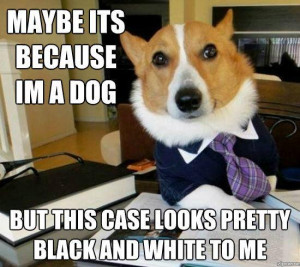 Lawyer Dog