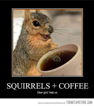 funny squirrel drinking coffee