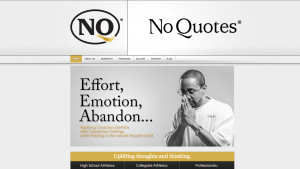 website design in 2013 we did a website re design for no quotes view ...