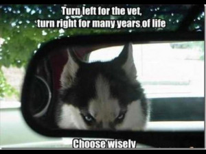 Turn left for vet, or turn right for many years of life. Choose ...