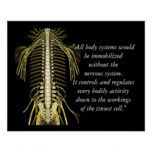 Chiropractic Quotes & Sayings Nerves Poster