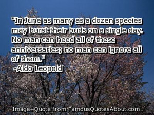 Aldo Leopold Famous Quotes | In June as many as a dozen species may ...