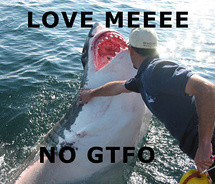 desperate,funny,gtfo,hilarious,love,me,no,shark ...