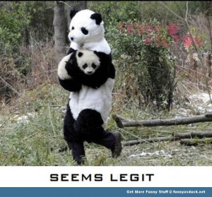 panda animal kidnap seems legit animal funny pics pictures pic picture ...