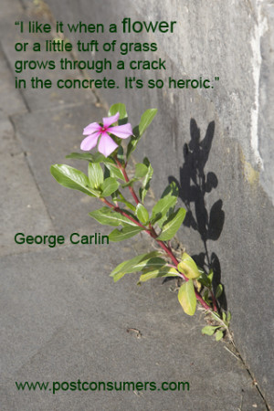 ... crack in the concrete. It’s so (effing) heroic.” George Carlin