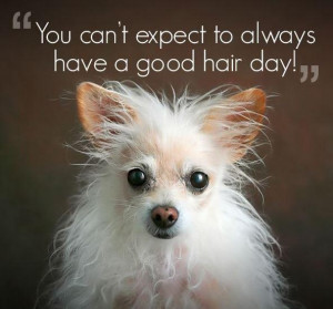 Funny Hair Quotes