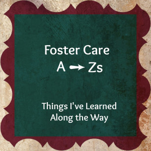 when i first started fostering i naively thought that the initial ...