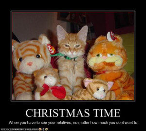 christmas funny cat funny christmas cat photos and angry cat hates ...