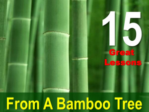 15 Great Lessons From A Bamboo Tree!!!