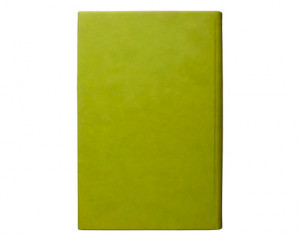 Обложка Barnes and Noble NOOK color Wren Quote Cover (Leaf)
