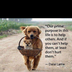 ... to help others. And if you can't help them, at least don't hurt them