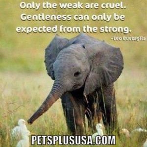 Only the #weak are #cruel. Gentleness can only be expected from the # ...