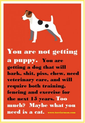 You are not getting a puppy.