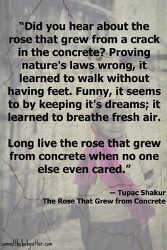 ... more tupac shakur quotes rose quotes tupac shakur lyrics tupac