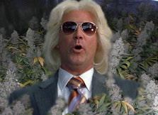 Wrestling Thread Aug 11-24 | 8/18 RAW - Brock DESTROYS Cena, New WWE ...