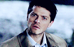 ... adorable wtf puppy supernatural puppies castiel spn cas cass head tilt