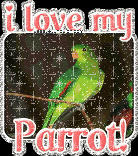 Animal Lovers I Love My Parrot quote