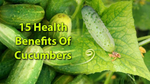 Health Benefits Cucumber The