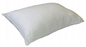 Pillow Forms | Pillow Inserts