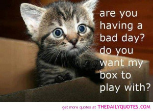 cute-kitten-cat-pics-animal-lover-bad-day-quotes-pictures.jpg