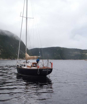 Better late than never. Your installation is serving us well, the Cape ...